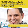 19.11.2021 | "Wirksame Spots – worauf es ankommt & wie es via Crowd geht"